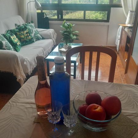 Miramar III Daire Torrevieja Dış mekan fotoğraf